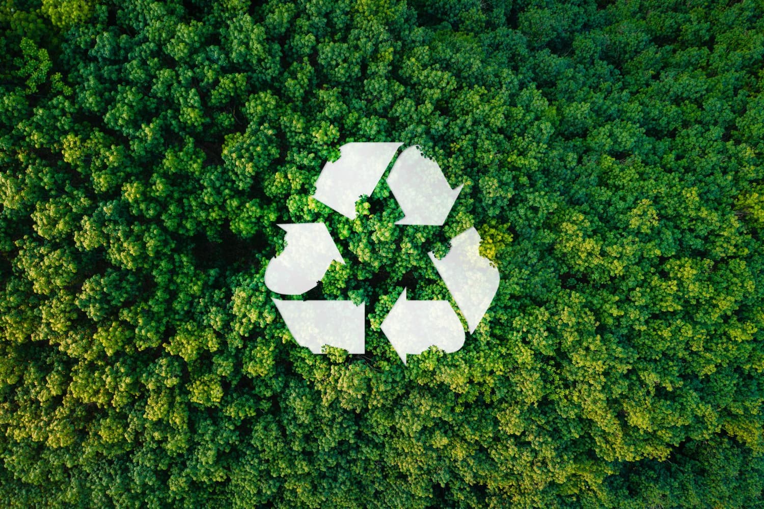 CSR & Sustainability